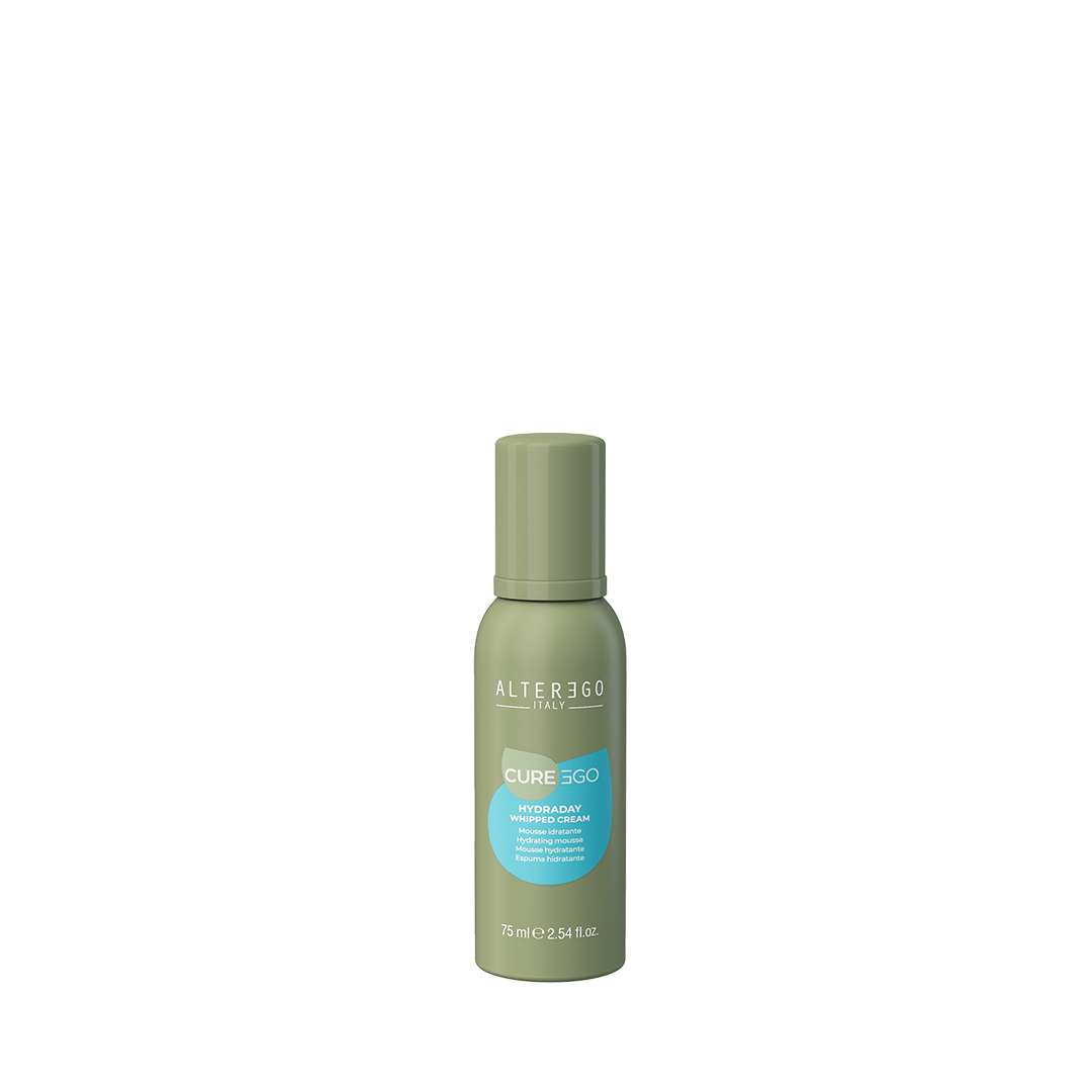 Hydraday Whipped Cream Leave-In Hydrating Mousse